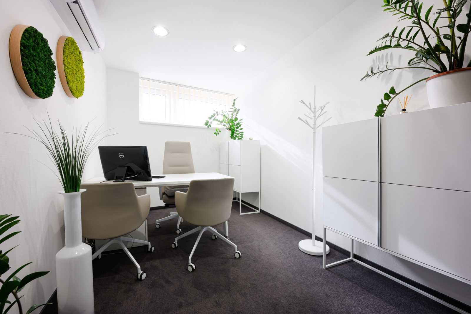 Modern minimalist office with white furniture and green plants.