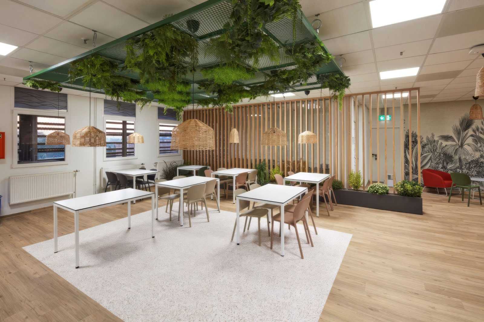 Modern office lounge with hanging greenery and wicker pendant lights.